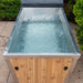 The Polar Plunge Tub - Dundalk LeisureCraft